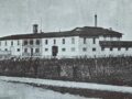 Vitrum via Ricasoli