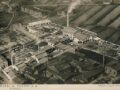 Panoramica della vetreria Taddei negli anni Trenta
